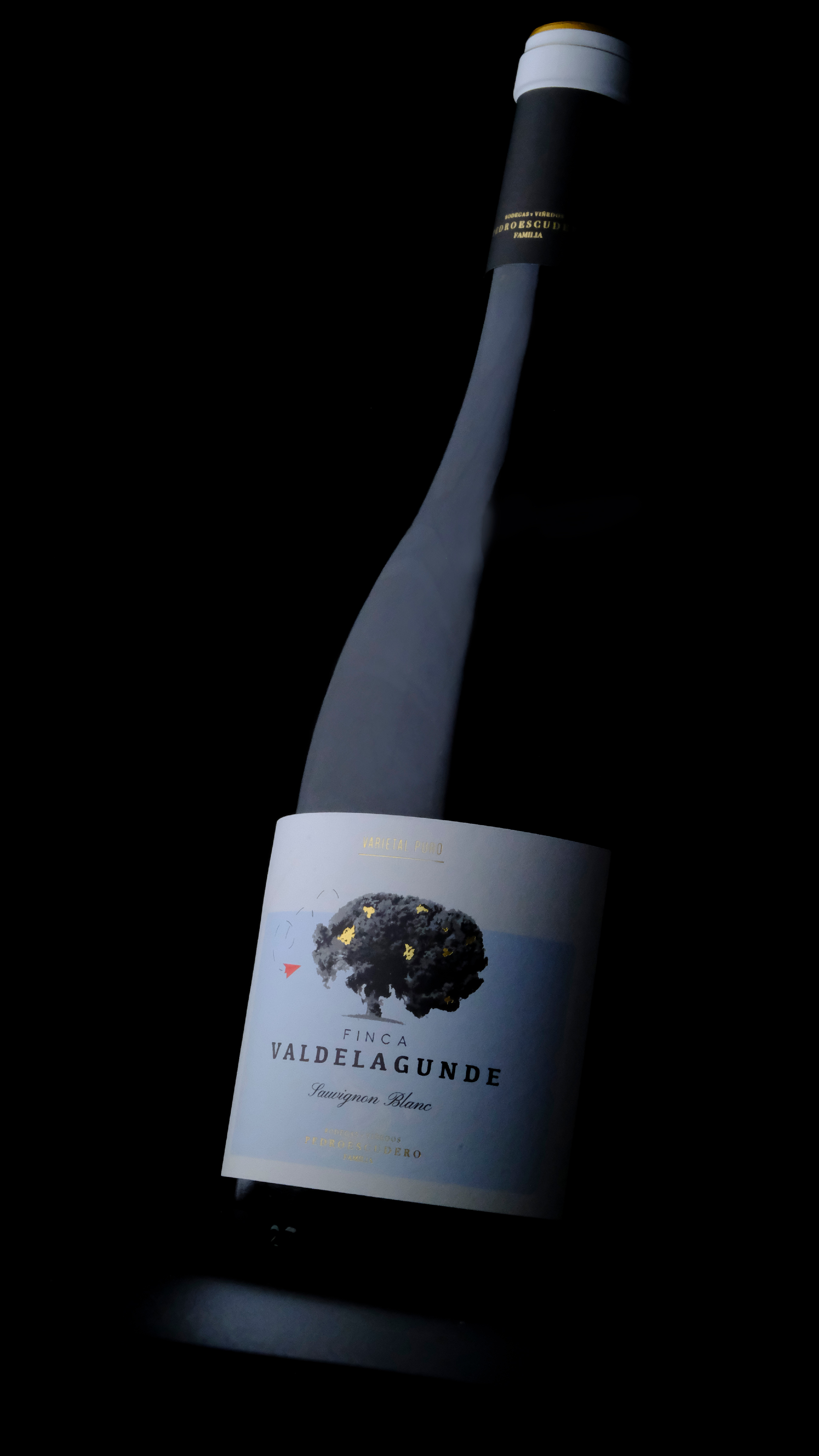 Finca Valdelagunde SB